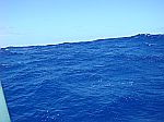 Yes, this is a wave
Yes, this is a wave