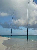 The Antenna
The Antenna